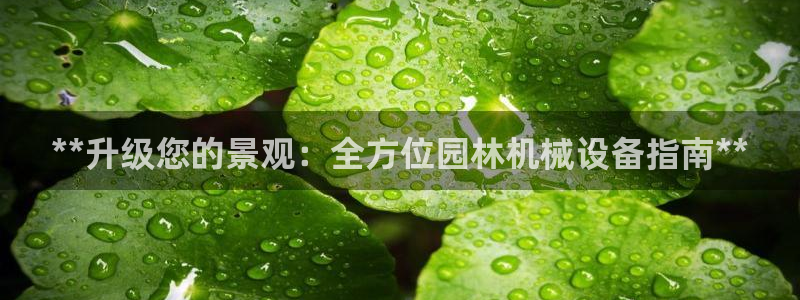 金年会 金字招牌诚信至上欢迎您