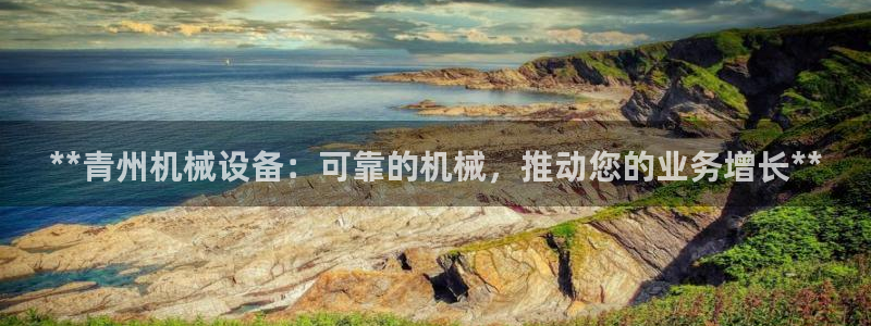 金年会金字招牌：**青州机械设备：可靠的机械，推动您的业务增长**