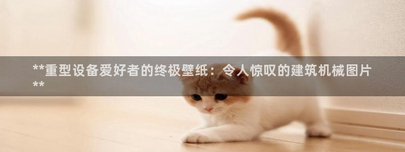金年会电子游戏app：**重型设备爱好者的终极壁纸：令人惊叹的建筑机械图片
**