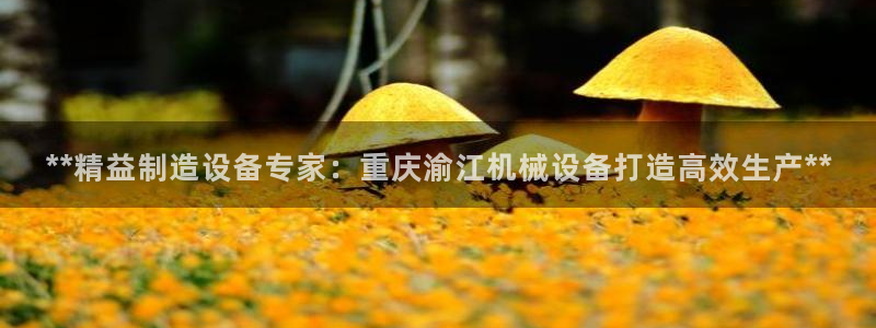 金年会赌博app平台可靠吗安全吗：**精益制造设备专家：重庆渝江机械设备打造高效生产**