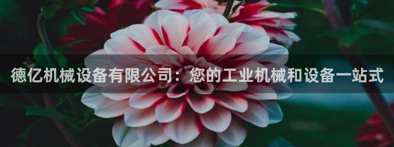 金年会体育官网app：德亿机械设备有限公司：您的工业机械和设备一站式