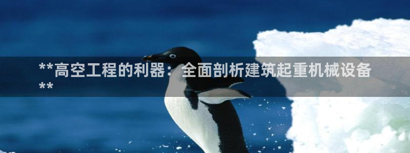 金年会官方体育：**高空工程的利器：全面剖析建筑起重机械设备
**