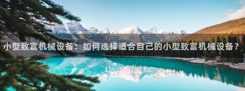 金年会app官方网站入口在哪：小型致富机械设备：如何选择适合自己的小型致富机械设备？