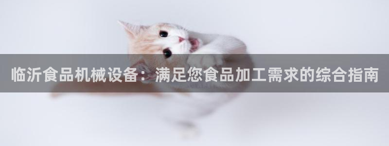 金年会官方娱乐app下载安装：临沂食品机械设备：满足您食品加工需求的综合指南