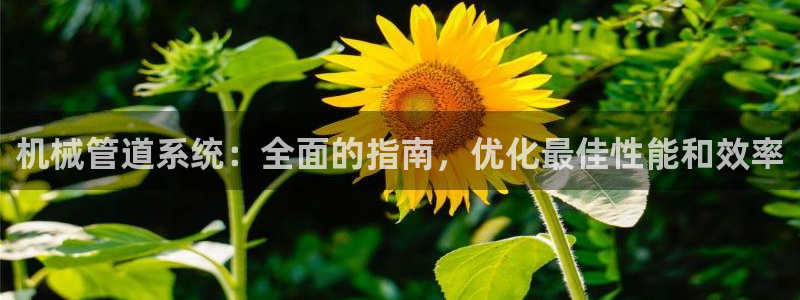 金年会网址导航在线播放：机械管道系统：全面的指南，优化最佳性能和效率