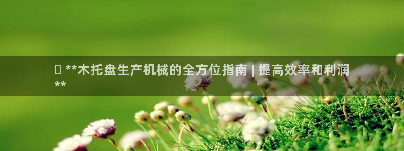 金年会手机版本网页登录：✅ **木托盘生产机械的全方位指南 | 提高效率和利润
**