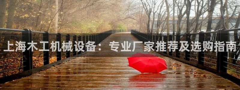 金年会电子游戏app官方网站：上海木工机械设备：专业厂家推荐及选购指南