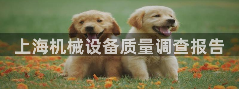 金年会官方下载入口手机版：上海机械设备质量调查报告