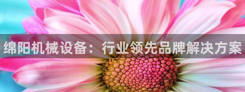 金年会是不是黑平台：绵阳机械设备：行业领先品牌解决方案