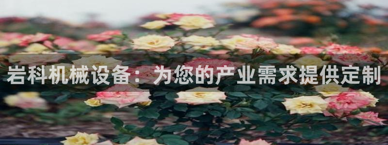 金年会网站入口登录：岩科机械设备：为您的产业需求提供定制