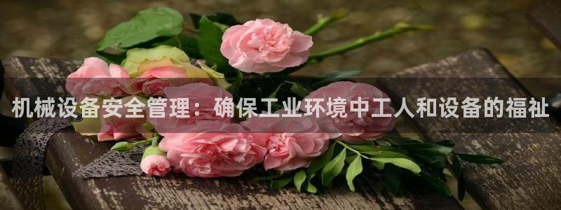 金年会电子游泳app：机械设备安全管理：确保工业环境中工人和设备的福祉