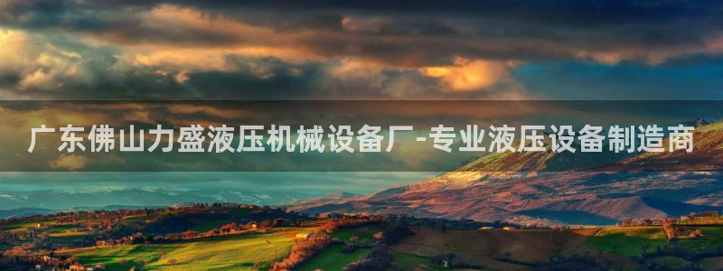金年会网站：广东佛山力盛液压机械设备厂-专业液压设备制造商