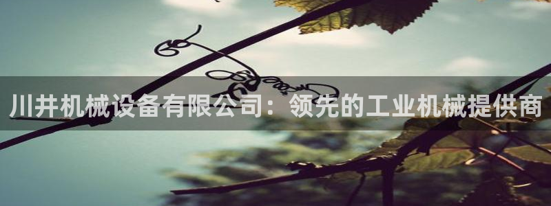 金年会官方登录入口网址是什么：川井机械设备有限公司：领先的工业机械提供商