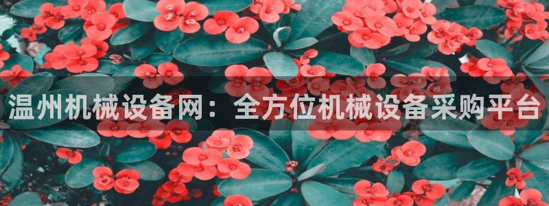 金年会下载官方app：温州机械设备网：全方位机械设备采购平台