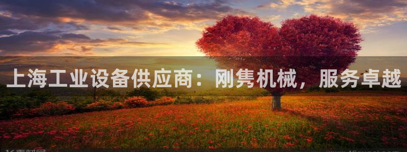 金年会体育电子登录入口：上海工业设备供应商：刚隽机械，服务卓越