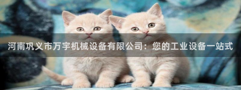 金年会官方娱乐app下载安装：河南巩义市万宇机械设备有限公司：您的工业设备一站式
