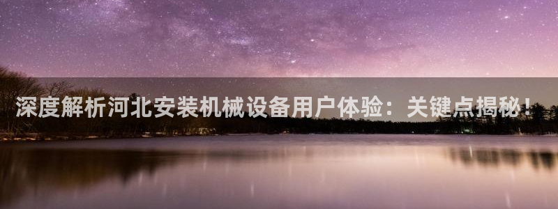 金年会网址有吗：深度解析河北安装机械设备用户体验：关键点揭秘！