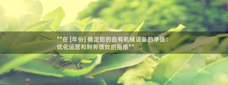 金年会pg官网：**在 [年份] 确定您的自有机械设备的净值：
优化运营和财务绩效的指南**