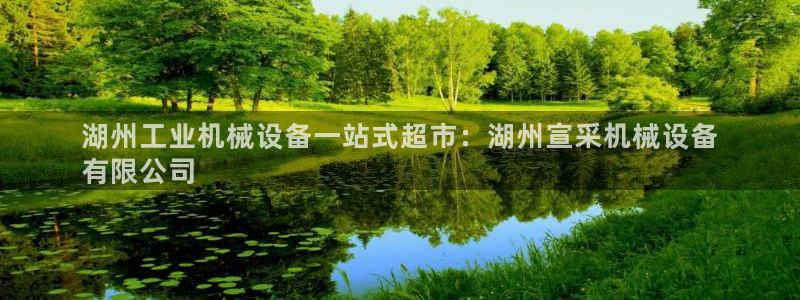 金年会体育出款审核七天