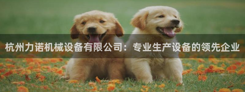 金年会app官方网站入口在哪：杭州力诺机械设备有限公司：专业生产设备的领先企业