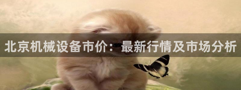 金年会体育网址是多少：北京机械设备市价：最新行情及市场分析