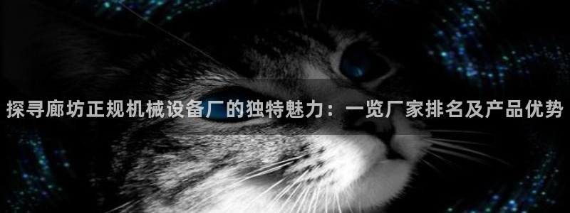 金年会体育苹果下载：探寻廊坊正规机械设备厂的独特魅力：一览厂家排名及产品优势