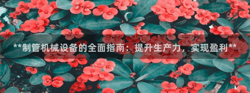 金年会赌博app平台可靠吗安全吗：**制管机械设备的全面指南：提升生产力，实现盈利**