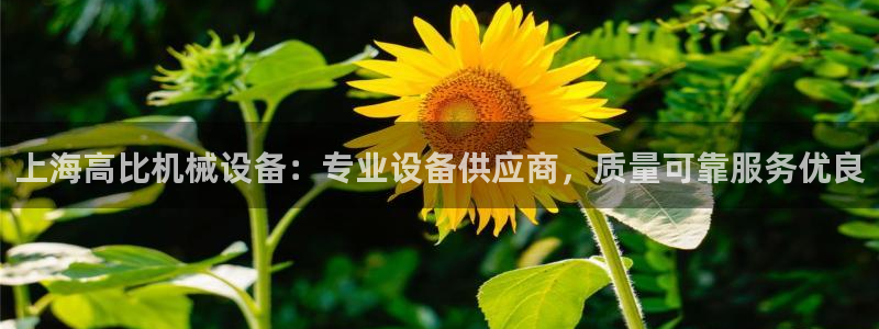 金年会官方入口2023：上海高比机械设备：专业设备供应商，质量可靠服务优良