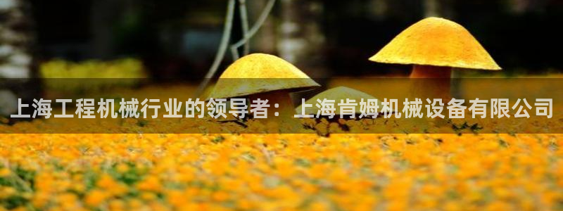 金年会jinnianhui官方在线登录：上海工程机械行业的领导者：上海肯姆机械设备有限公司
