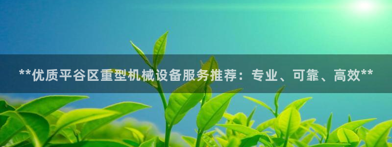 金年会金字招牌入口：**优质平谷区重型机械设备服务推荐：专业、可靠、高效**