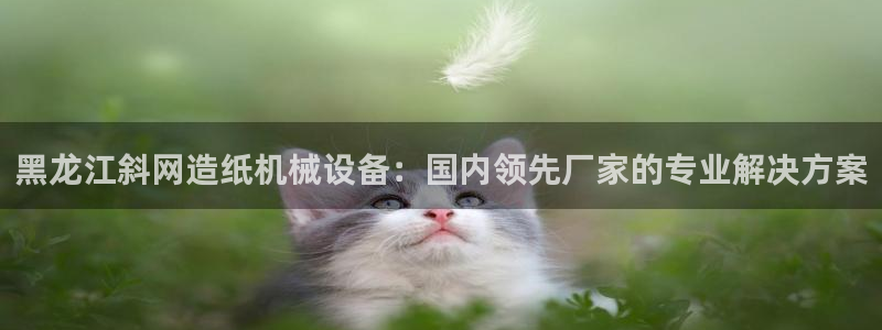 金年会体育平台怎么样