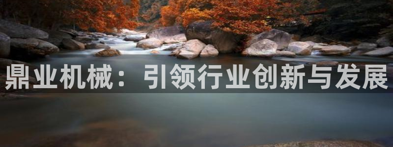 金年会官方网址是什么：鼎业机械：引领行业创新与发展
