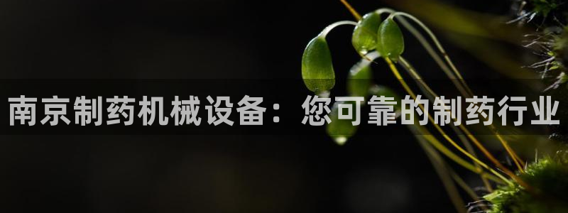金年会电子官网