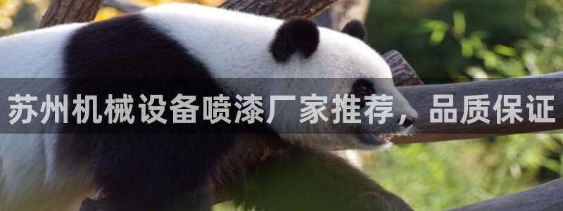 金年会体育平台登录