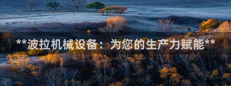 金年会能赢吗：**波拉机械设备：为您的生产力赋能**