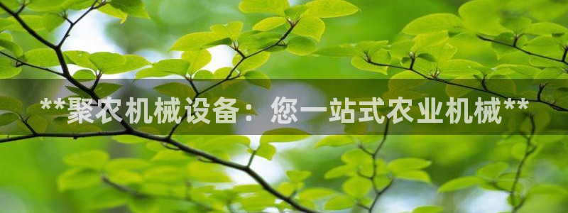 金年会官方app下载