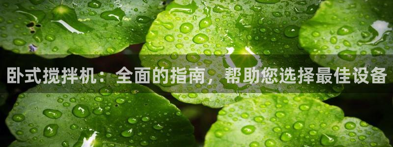 金年会体育：卧式搅拌机：全面的指南，帮助您选择最佳设备